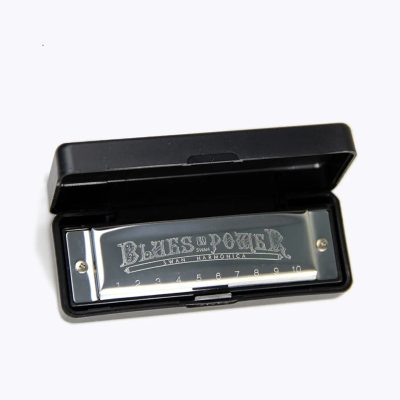 vue complète Harmonica diatonique en métal design blues avec étui en laiton